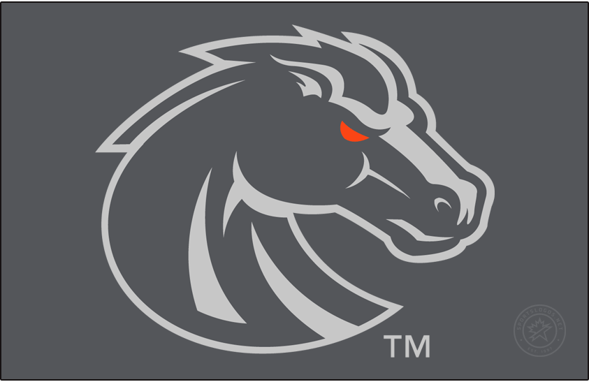 Boise State Broncos 2013-Pres Secondary Logo diy DTF decal sticker